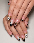 Chic Dots & Petals